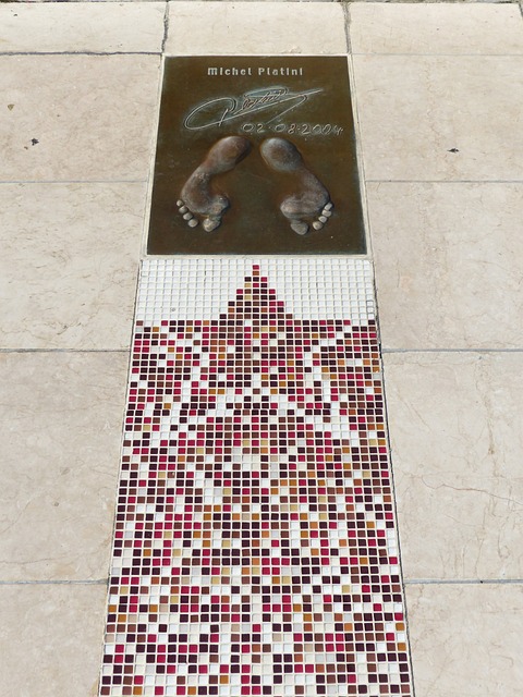 森的情况下 森的情况下