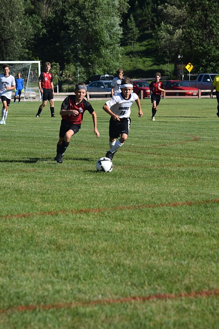 部分分析认 部分分析认