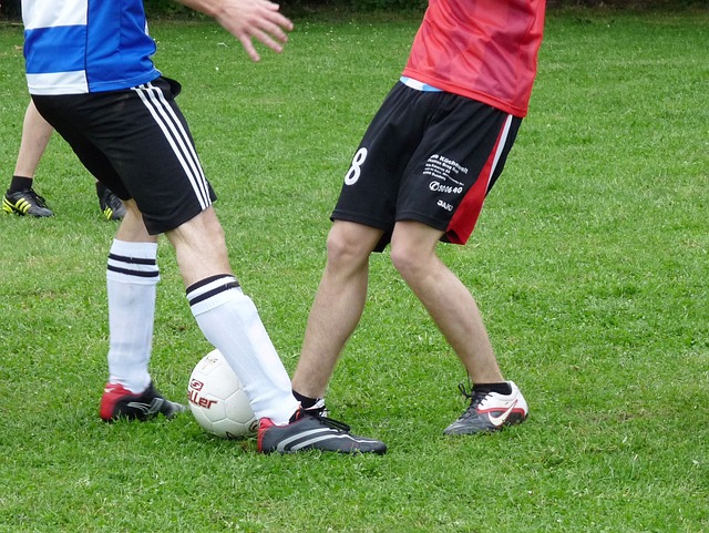 未来的赛季 未来的赛季