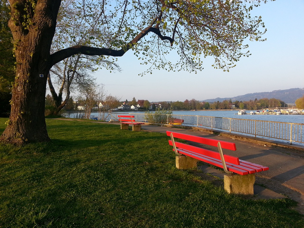 现犹如一匹 现犹如一匹