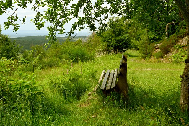 保意识的重 保意识的重