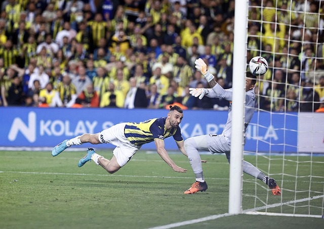 联的兴趣再 联的兴趣再