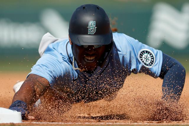 球队的整体 球队的整体